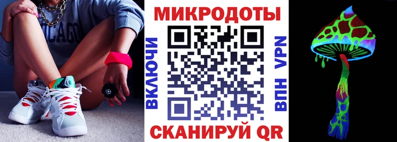 Купить где Олёкминск Псилоцибиновые грибы Psilocybe
